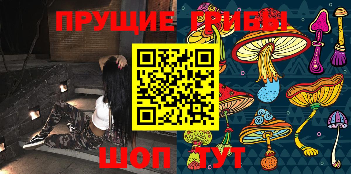 Галлюциногенные грибы GOLDEN TEACHER  Вход с VPN  Саранск 